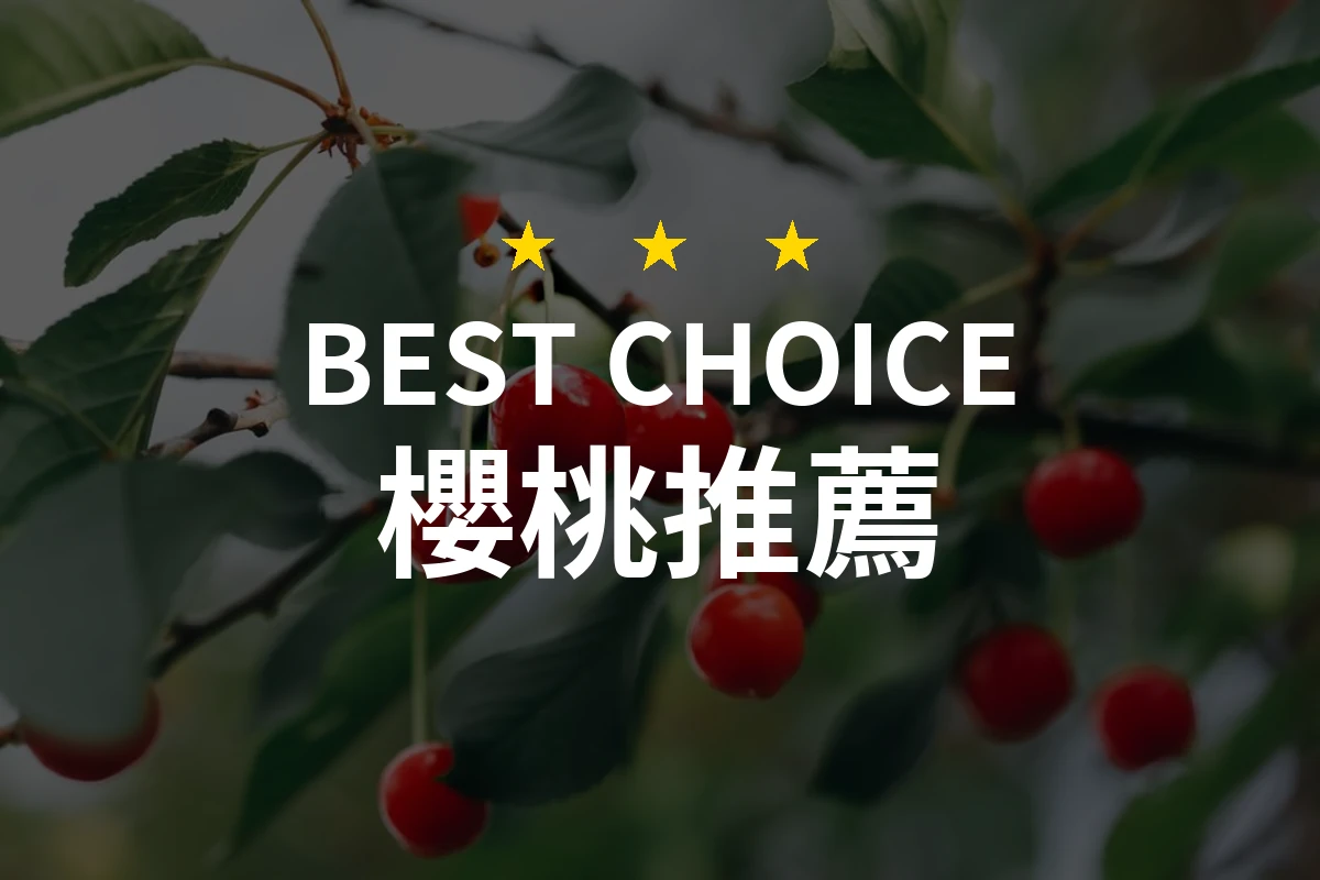櫻桃推薦哪款好？2026年10款熱銷產品評比