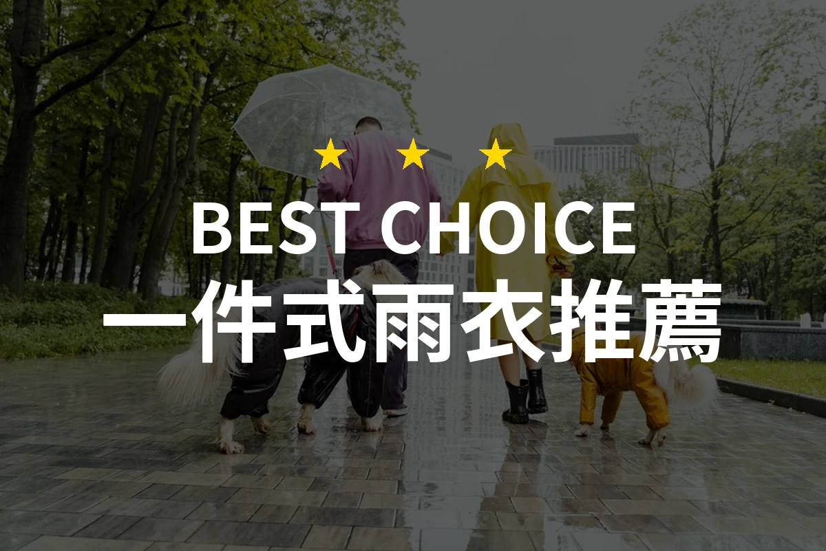 一件式雨衣推薦哪款好？2026年10款熱銷產品評比