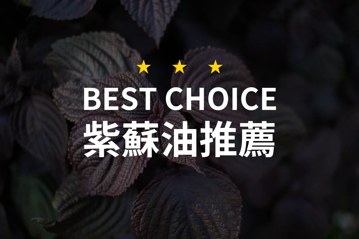 【2026最新】紫蘇油推薦10款｜規格價格完整比較