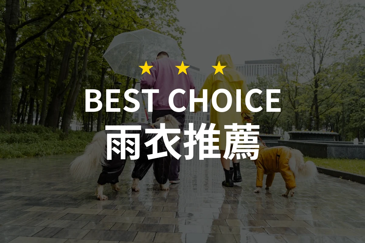 雨衣推薦哪款好？2026年10款熱銷產品評比