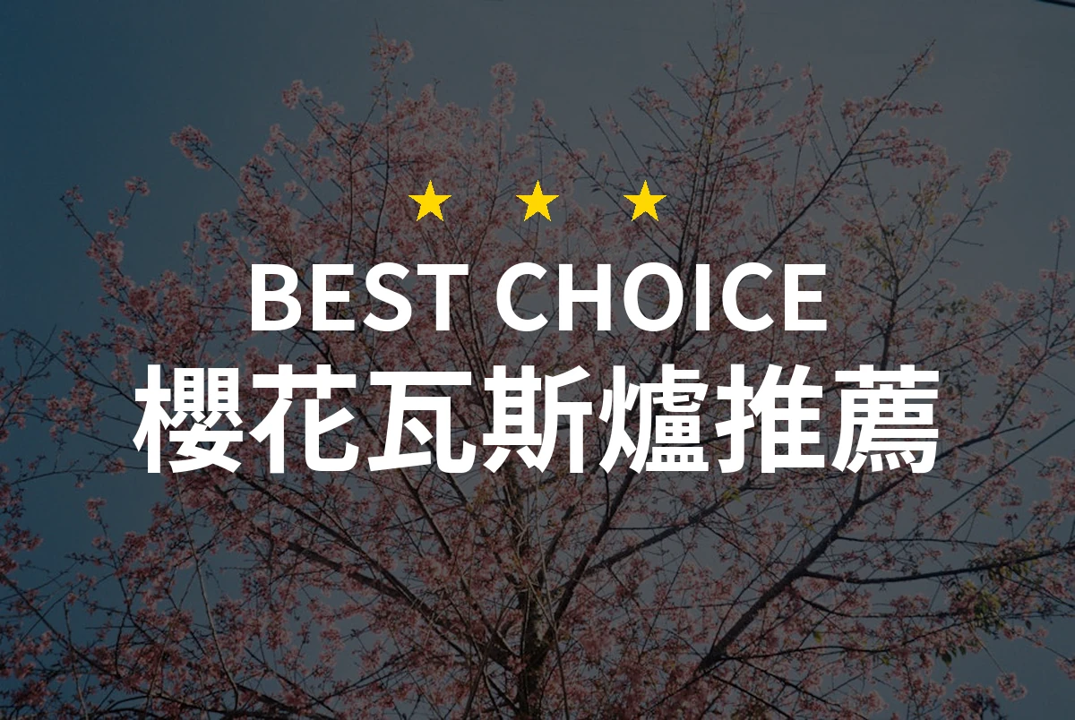 Cherry Blossom Gas Furnace